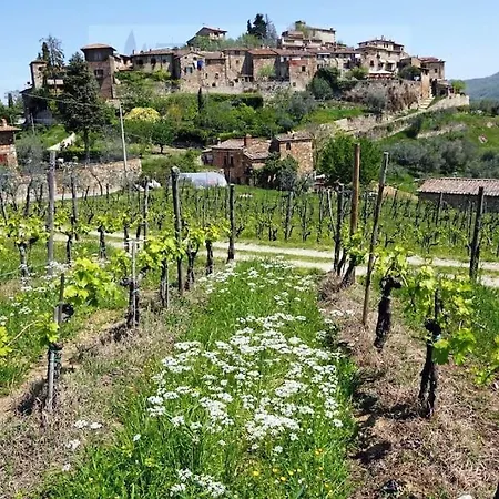 Casa Di Company * Greve in Chianti