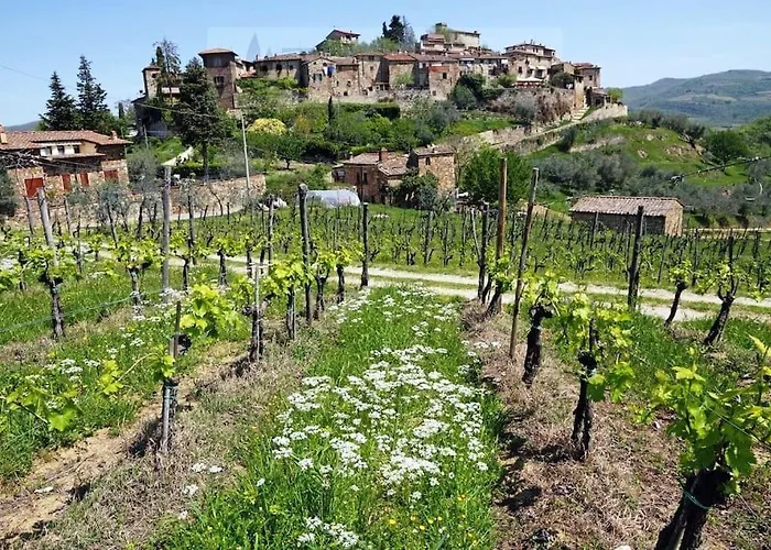 Casa Di Company * 基安蒂格雷夫